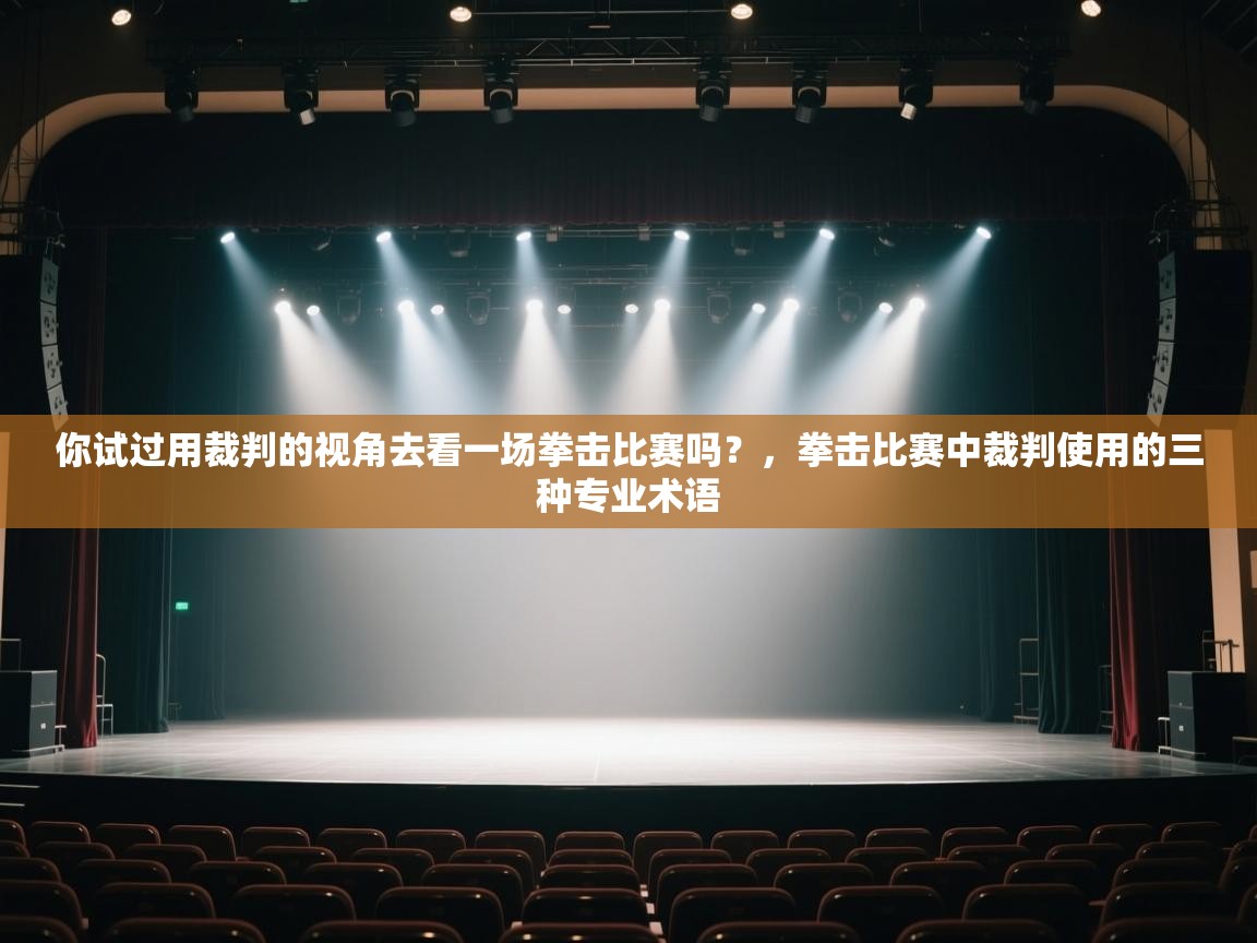 开云体育极速下载镜像-你试过用裁判的视角去看一场拳击比赛吗?,拳击比赛中裁判使用的三种专业术语 第1张