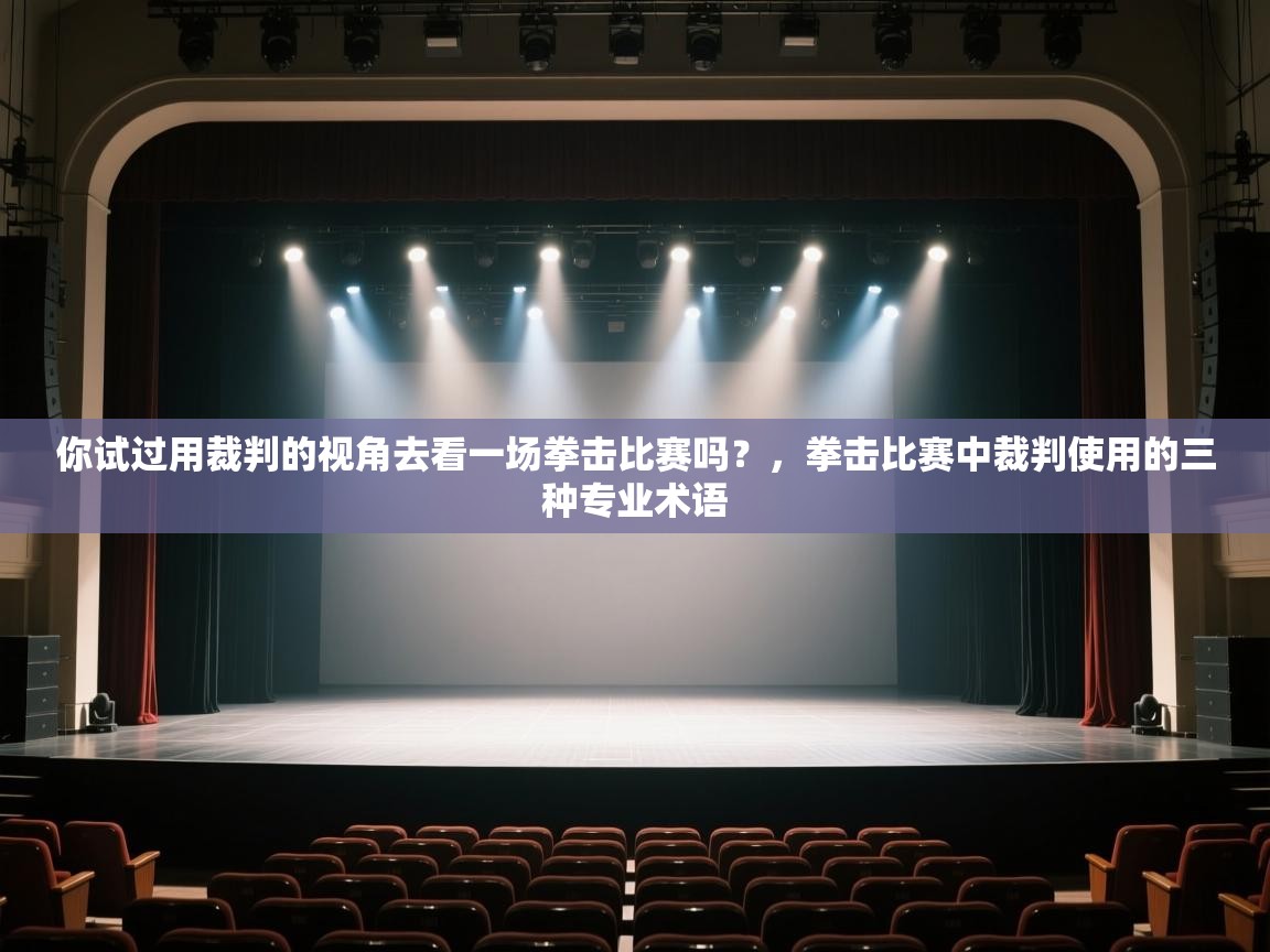 开云体育极速下载镜像-你试过用裁判的视角去看一场拳击比赛吗?,拳击比赛中裁判使用的三种专业术语 第3张