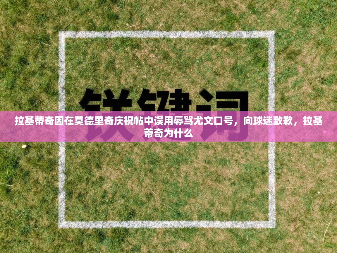 开云体育在线网址-拉基蒂奇因在莫德里奇庆祝帖中误用辱骂尤文口号，向球迷致歉，拉基蒂奇为什么  第2张