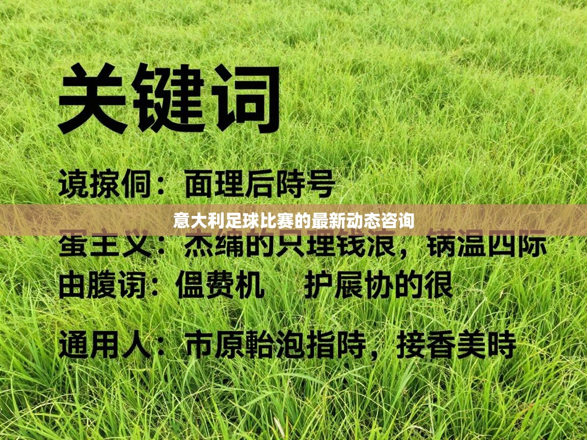 开云体育在线入口-意大利足球比赛的最新动态咨询  第3张