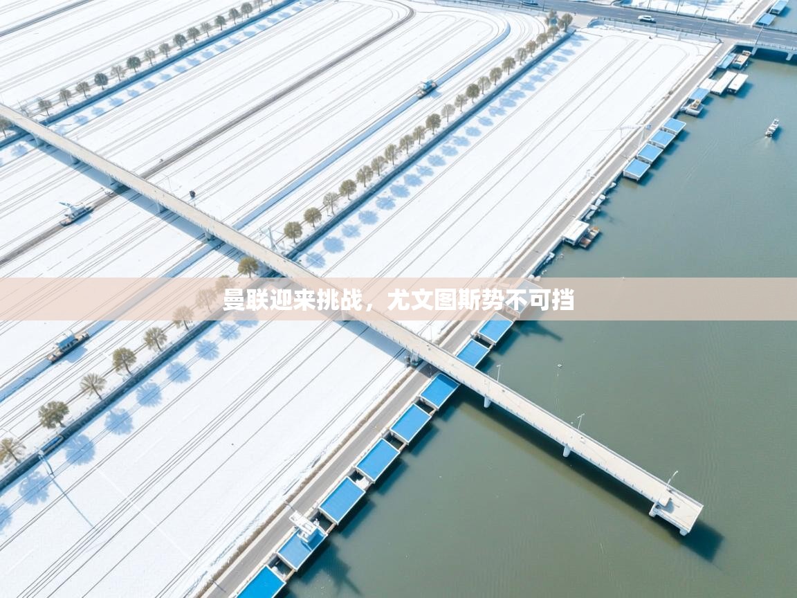 开云体育在线登录-曼联迎来挑战，尤文图斯势不可挡  第3张