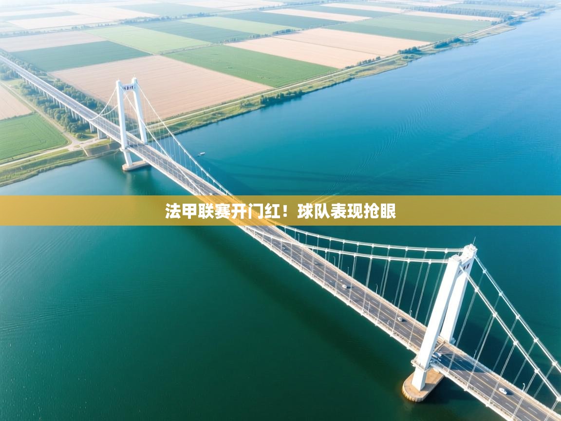 开云官网-法甲联赛开门红！球队表现抢眼  第1张