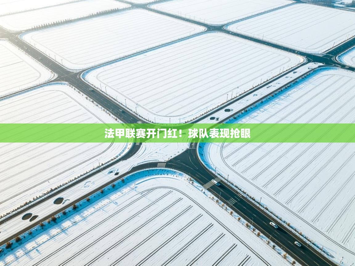 开云官网-法甲联赛开门红！球队表现抢眼  第4张