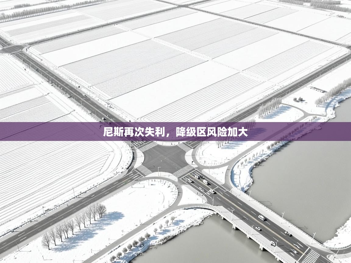 云开体育官方网站登录-尼斯再次失利，降级区风险加大  第2张