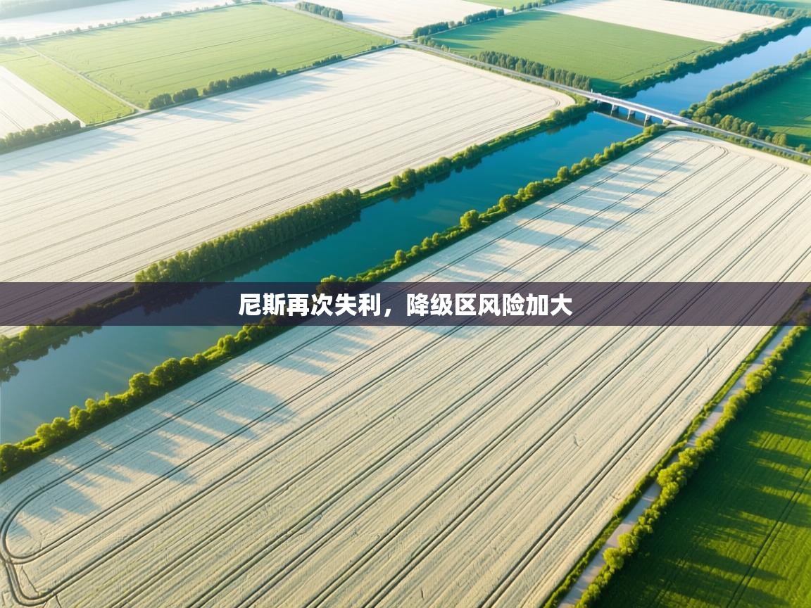 云开体育官方网站登录-尼斯再次失利，降级区风险加大  第1张