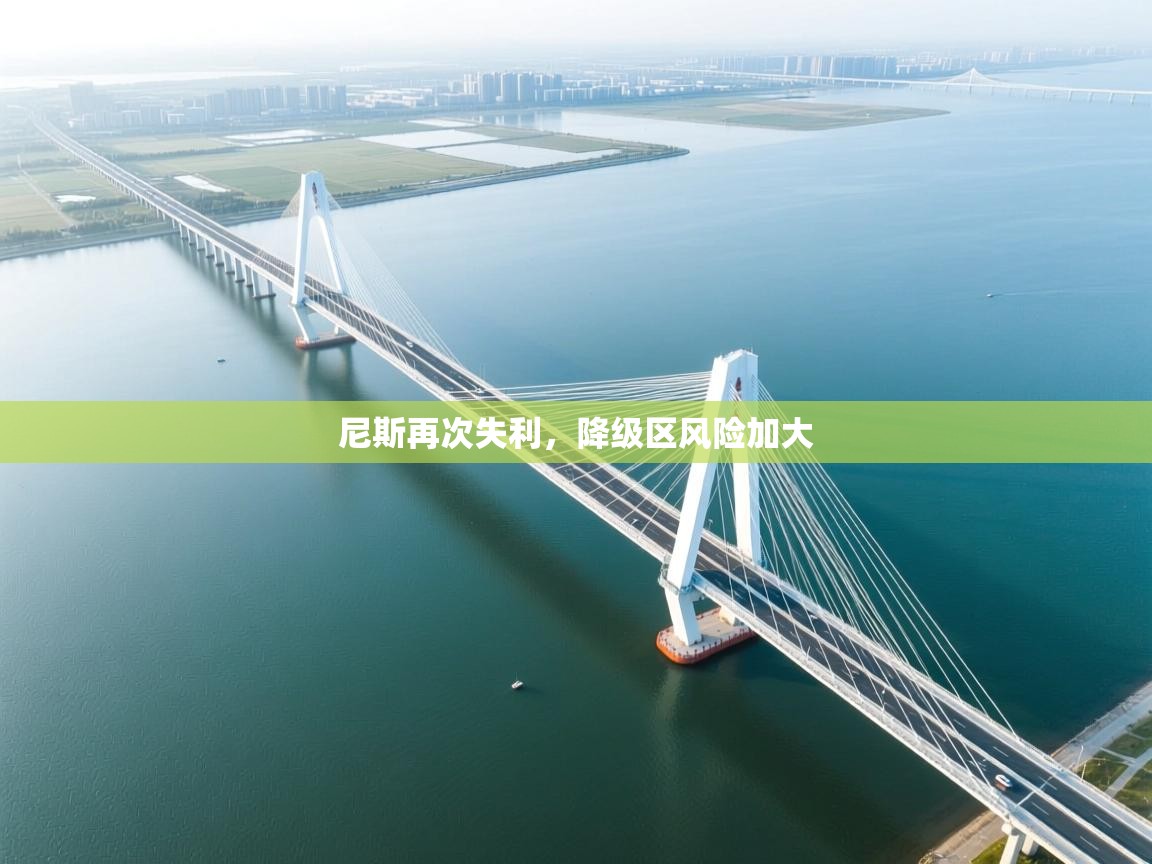 云开体育官方网站登录-尼斯再次失利，降级区风险加大  第3张