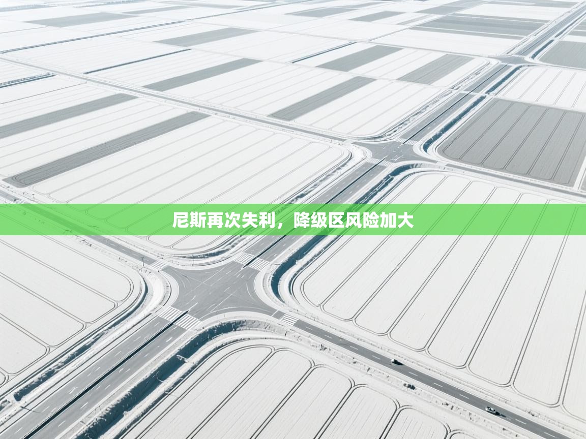 云开体育官方网站登录-尼斯再次失利，降级区风险加大  第4张