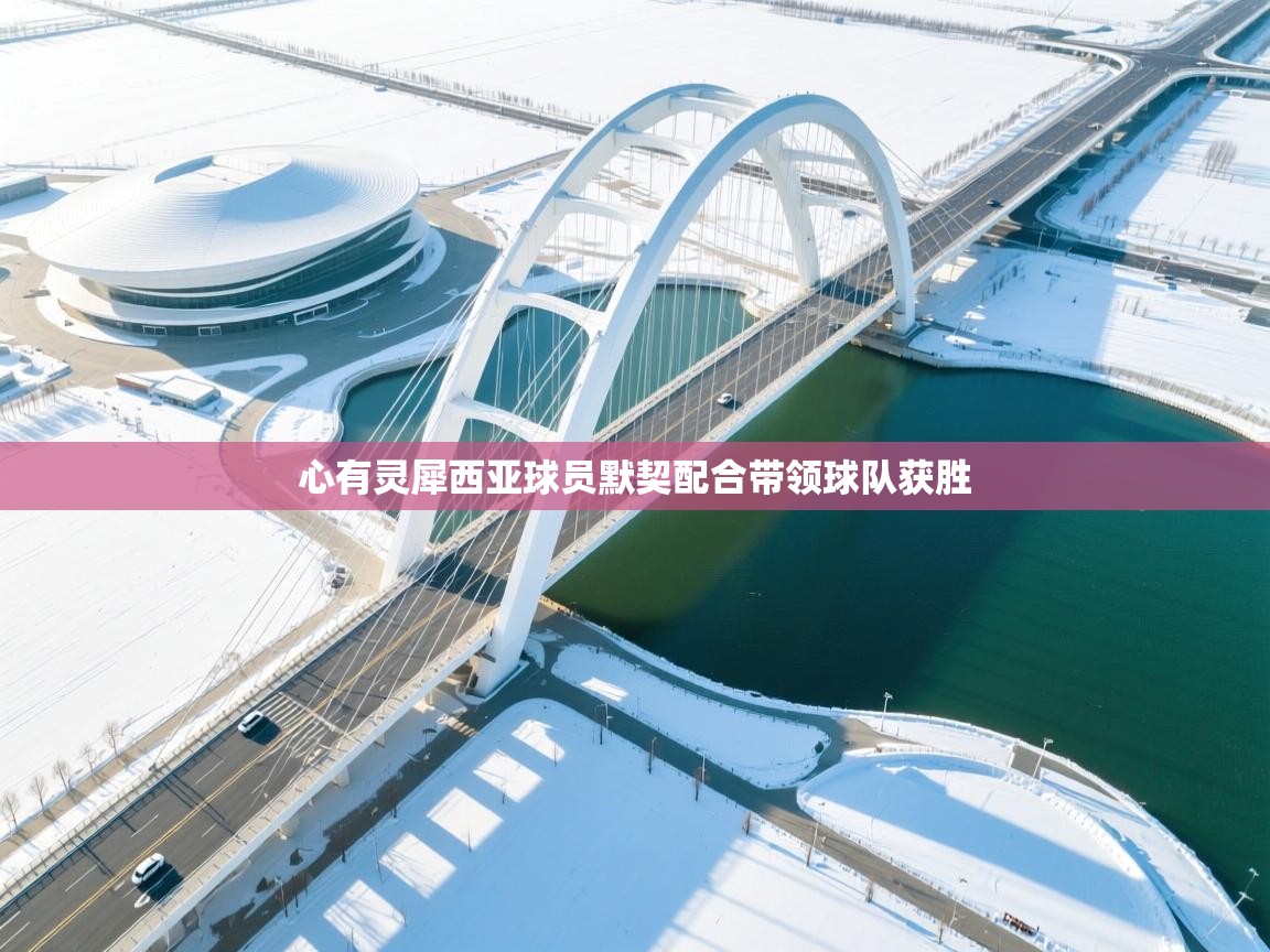 开云赛事-心有灵犀西亚球员默契配合带领球队获胜 第2张