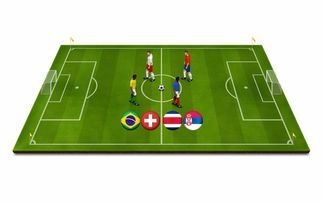 开云体育app下载-比利时队轻松晋级欧洲锦标赛决赛  第4张